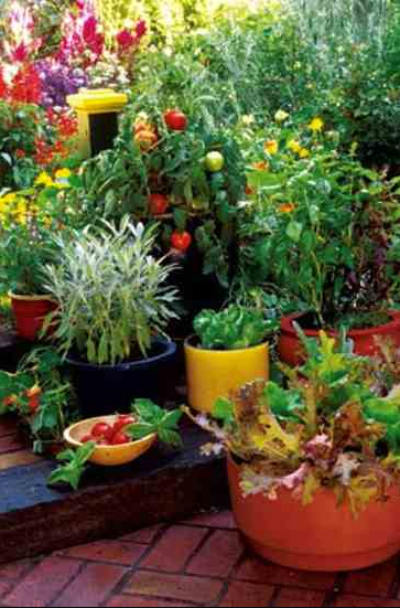 soil for containers
