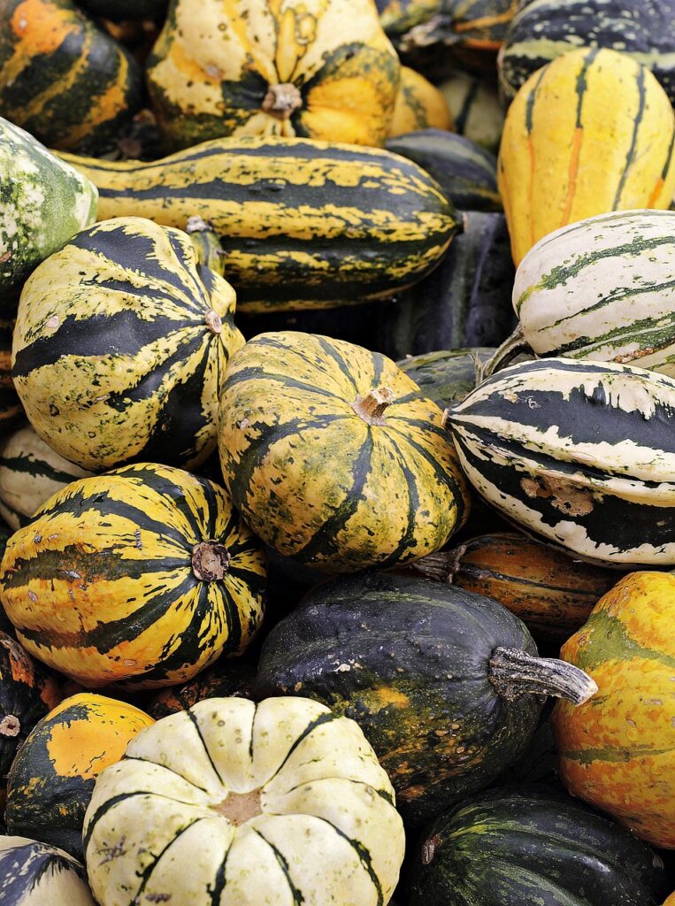 What Role Does Crop Rotation Play In Pest And Disease Management?